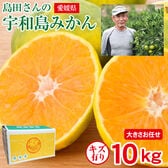 【予約受付】11/15~順次出荷【10kg】愛媛県産 宇和島みかん (ご家庭用、傷あり)