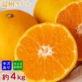 【予約受付】11/10~順次出荷【約4kg】厳選 温州みかん(ご家庭用・傷あり)