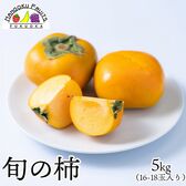 【九州】5kg　旬の柿