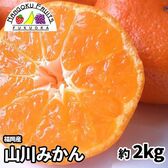 【予約受付】10月下旬~順次出荷【福岡】約2kg　山川みかん