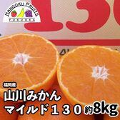 【予約受付】10月下旬~順次出荷【福岡】約8kg　山川みかん マイルド130