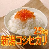 【25kg (5kg×5袋)】令和6年産 新米 特選 新潟県産コシヒカリ