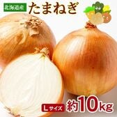 【約10kg/Lサイズ】北海道 産 玉ねぎ ご家庭用