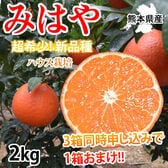 【予約受付】12/10~順次出荷【2kg】みはや 秀品 熊本県産