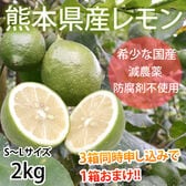 【2kg(S-L)】熊本県産 レモン 国産レモン