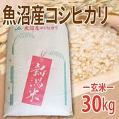 【30kg (30kg×1袋)】令和6年産 新米 【玄米】魚沼十日町産コシヒカリ