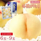 【予約受付】12/8~順次出荷【6~9玉】《秀品》岡山白桃 冬桃がたり