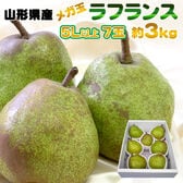 【予約受付】11/15日~順次出荷 【約3kg(7玉入り)】ラフランス5L以上