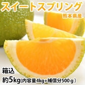 【予約受付】12/10~順次出荷【箱込み約5kg】スイートスプリング 熊本県産(ご家庭用・傷あり)