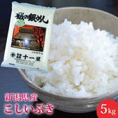 【5kg】新潟県産 こしいぶき≪令和6年産≫