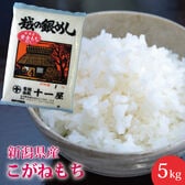 【5kg】新潟県産 こがねもち ≪令和6年度産≫