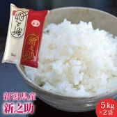 【計10kg(5kg×2)】新潟県産 新之助≪令和6年度産≫