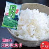 【5kg】新潟県産 棚田米 コシヒカリ≪【新米】令和6年度産≫