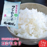 【10kg】特別栽培 魚沼産 コシヒカリ ≪令和6年度産≫