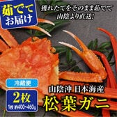 【予約】12/9~週末土日着で出荷【2枚×(400-460g)】山陰沖日本海産 松葉ガニ(ボイル)