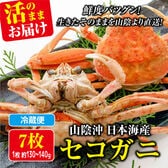 【予約】12/9~週末土日着で出荷【7枚×(130-140g)】山陰沖日本海産 活きたセコガニ