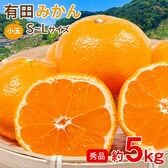 【約5kg/S~Lサイズ】《秀品》和歌山県産 有田みかん