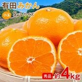 【約4kg/S~Lサイズ】《秀品》和歌山県産 有田みかん