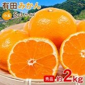 【約2kg/S~Lサイズ】《秀品》和歌山県産 有田みかん