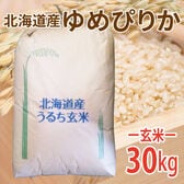 【30kg (30kg×1袋)】】令和6年産  新米【玄米】 北海道産ゆめぴりか