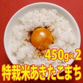 【450g×2袋】令和6年産 新米 こだわり 特別栽培米秋田県仙北産あきたこまち