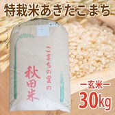 【30kg (30kg×1袋)】令和6年産 新米 玄米 こだわり特別栽培米秋田県仙北産あきたこまち