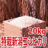 【20kg (5kg×4袋)】令和6年産 新米 特別栽培米新潟県阿賀野産コシヒカリ