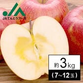 【約3kg(7-14玉)】[秀品]山形県産サンふじりんご