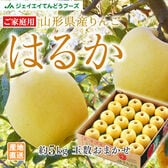 【予約受付】12/5~順次出荷【約5kg】山形県産りんごはるか ※ご家庭用・傷シミあり