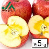 【約5kg/糖度13度以上保証】山形県産サンふじりんご※傷シミあり