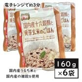 【お茶碗一杯160g×6袋】国内産十六穀類と発芽玄米のごはん／レンジ調理約3分温めるだけで手軽に調理