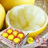 【予約受付】12/21~順次出荷【6玉】土佐文旦 秀品