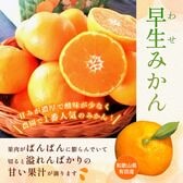 【予約受付】11/20~順次出荷【約2kg】和歌山県産 厳選小みかん