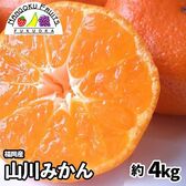 【福岡】約4kg　山川みかん