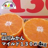 【福岡】約4kg　山川みかん マイルド130