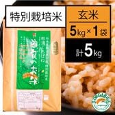 令和6年産【5kg】特別栽培米 玄米「曽良のお米（そらのおこめ）」Jオーガライス