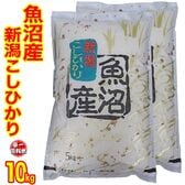 【10kg】令和6年度 「魚沼産コシヒカリ」 新潟県 特A 精米 白米