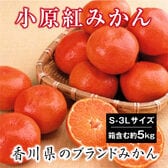 【箱含む約5.0kg(S-3L)】香川県産 小原紅早生みかん