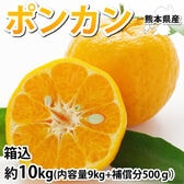 【予約受付】1/17~順次出荷【箱込約10kg】熊本県産 ポンカン（傷あり、不揃い、ご自宅用）