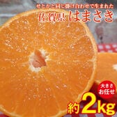 【予約受付】2/10~順次出荷【約2kg/サイズお任せ】佐賀県産 はまさき