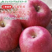 【予約受付】1/10~順次出荷【約5kg(14-28玉入り)】青森産サンふじりんご※ご家庭用