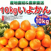 【10kg】愛媛県産 伊予柑(いよかん)(ご家庭用・傷あり)