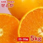 【予約受付】3/1~順次出荷【5kg/25~35個】産地直送長崎県せとか ご家庭用・黒点・傷あり