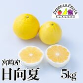 【宮崎産】5kg　日向夏 (産地直送)