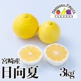 【宮崎産】3kg　日向夏 (産地直送)