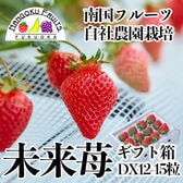 【福岡産】12-15粒ギフト箱　南国フルーツ自社農園『未来苺(みらいちご)』〈産地直送〉