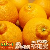 【5kg/サイズお任せ】長崎・佐賀不知火（通称デコポン）ご家庭用