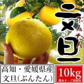 【10kg】高知・愛媛県産 文旦(ぶんたん)(ご家庭用・傷あり)