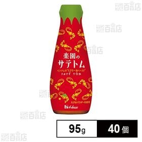 [40個]ハウス食品 楽園のサテトム 95g | ベトナムの“えびラー油ペースト”