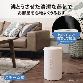 [4.0L/ホワイト] 象印(ZOJIRUSHI)/スチーム式加湿器 (連続加湿約8時間/湿度モニター)/EE-DE50-WA